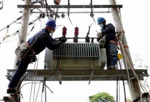 國網福安市供電公司 更換老舊綜配箱，筑牢漁民新村用電安全網